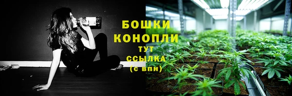 ПСИЛОЦИБИНОВЫЕ ГРИБЫ Лиски