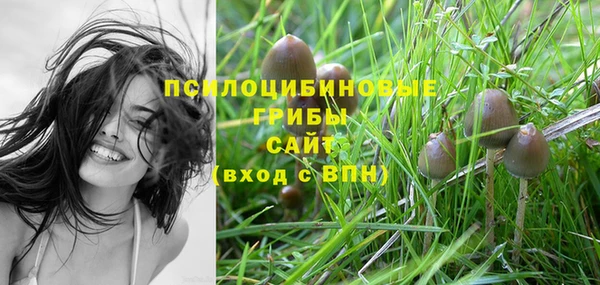 ПСИЛОЦИБИНОВЫЕ ГРИБЫ Лиски