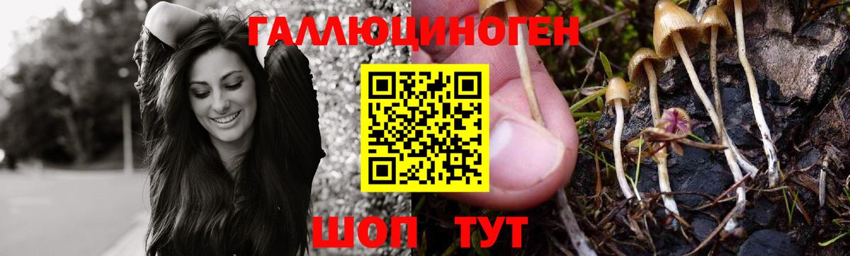 Минусинск  Псилоцибиновые грибы Magic Shrooms  Вход с VPN  Псилоцибиновые грибы GOLDEN TEACHER 